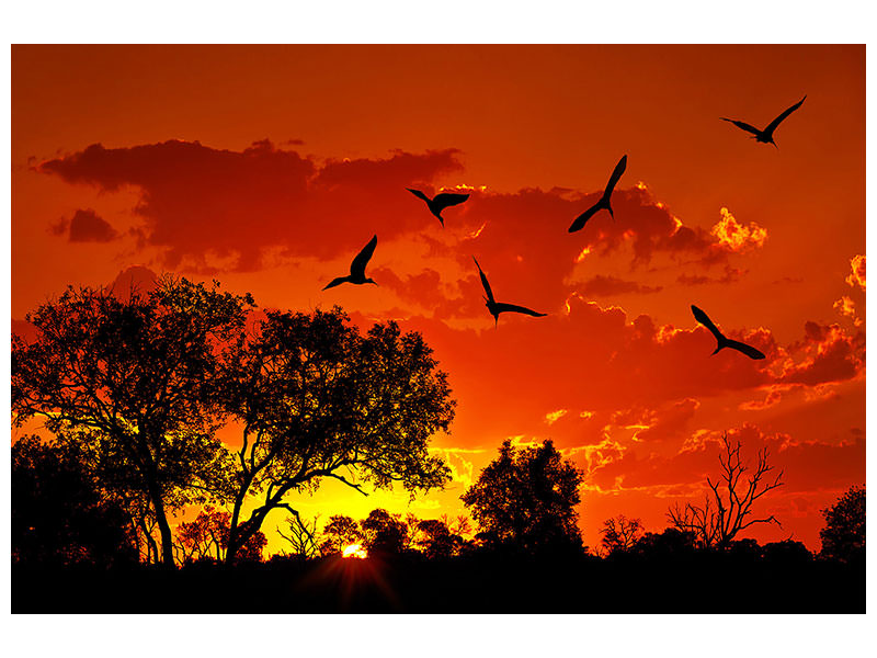 4-piece-canvas-print-african-feeling