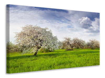 5-piece-canvas-print-apple-tree-garden