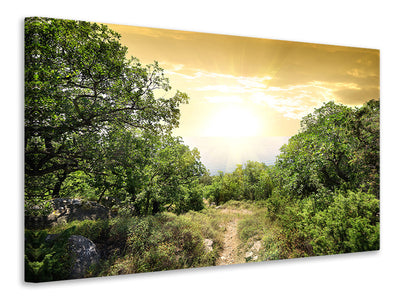 panoramic-canvas-print-at-the-end-of-the-forest