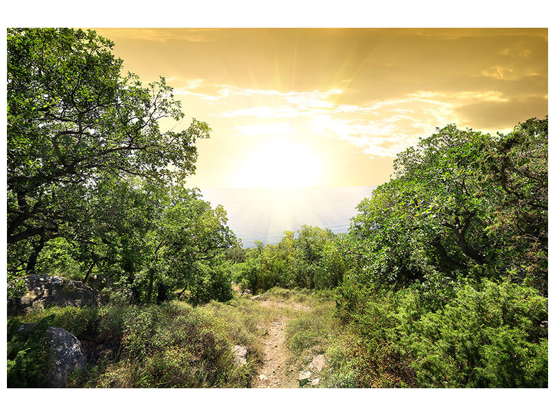 5-piece-canvas-print-at-the-end-of-the-forest