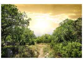 modern-4-piece-canvas-print-at-the-end-of-the-forest
