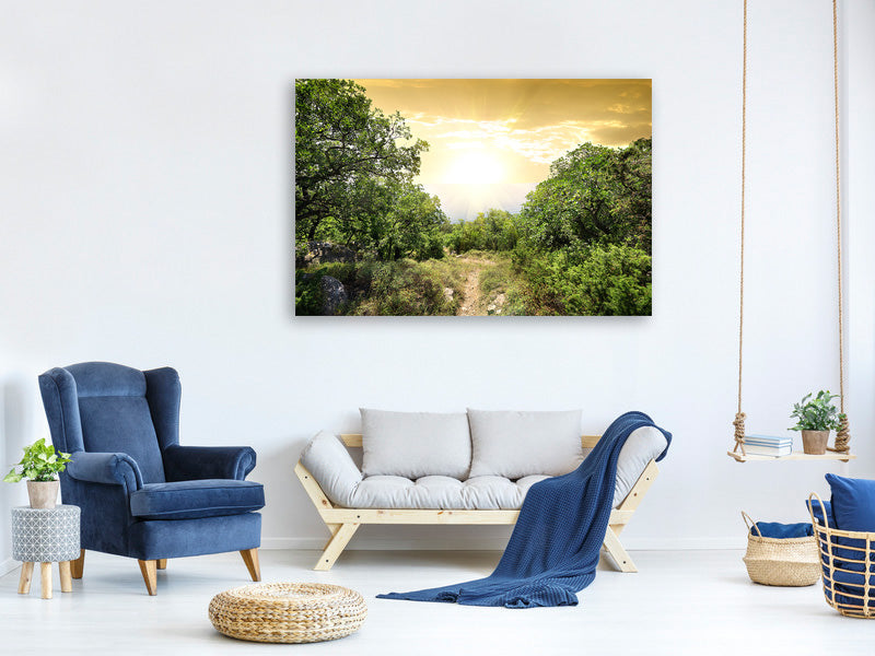 panoramic-canvas-print-at-the-end-of-the-forest