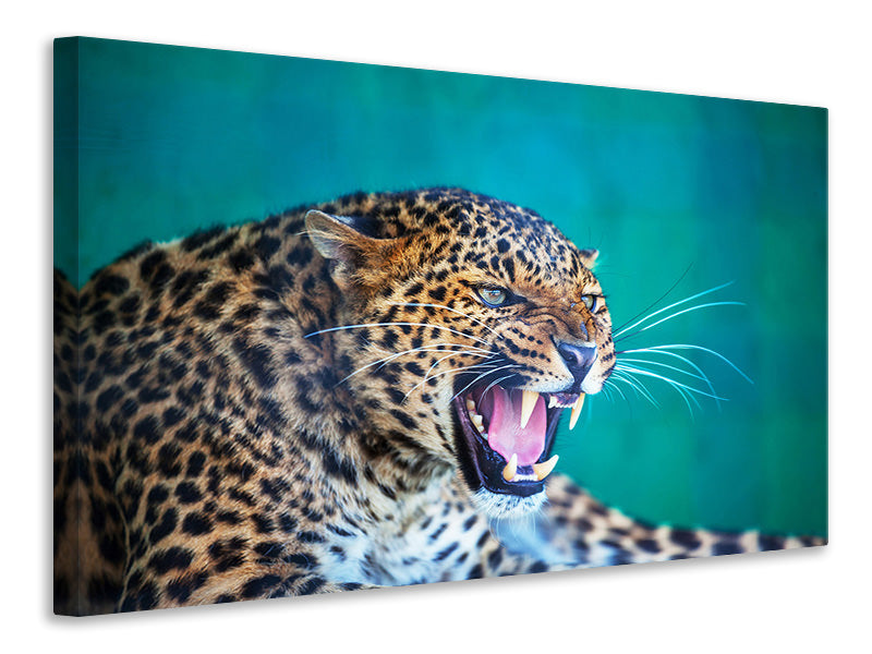 modern-4-piece-canvas-print-attention-leopard
