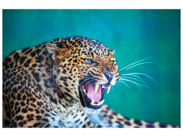 modern-4-piece-canvas-print-attention-leopard