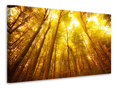 modern-4-piece-canvas-print-autumn-forest