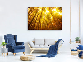 modern-4-piece-canvas-print-autumn-forest
