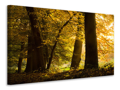 panoramic-3-piece-canvas-print-autumn-leaves