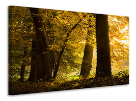 4-piece-canvas-print-autumn-leaves