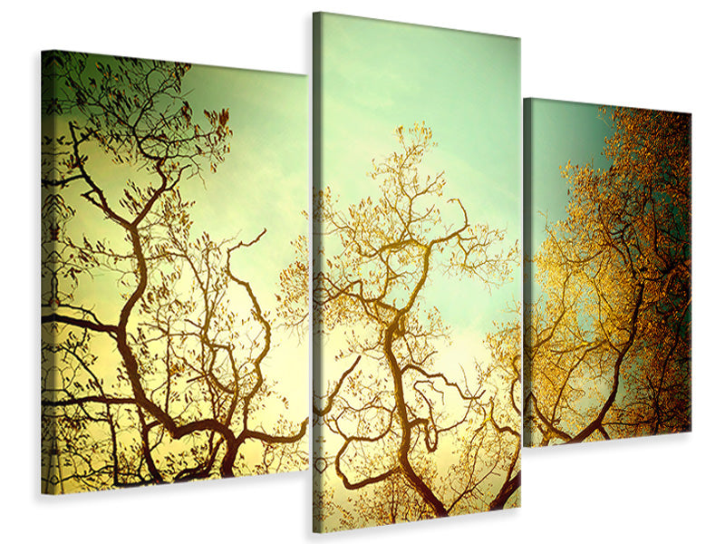 5-piece-canvas-print-autumn-trees-ii