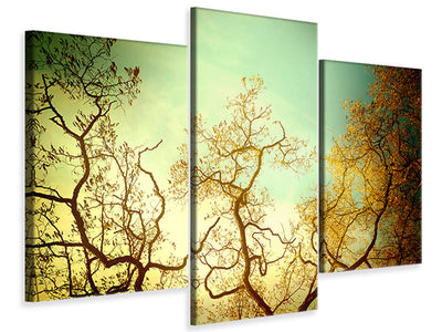 canvas-print-autumn-trees-ii