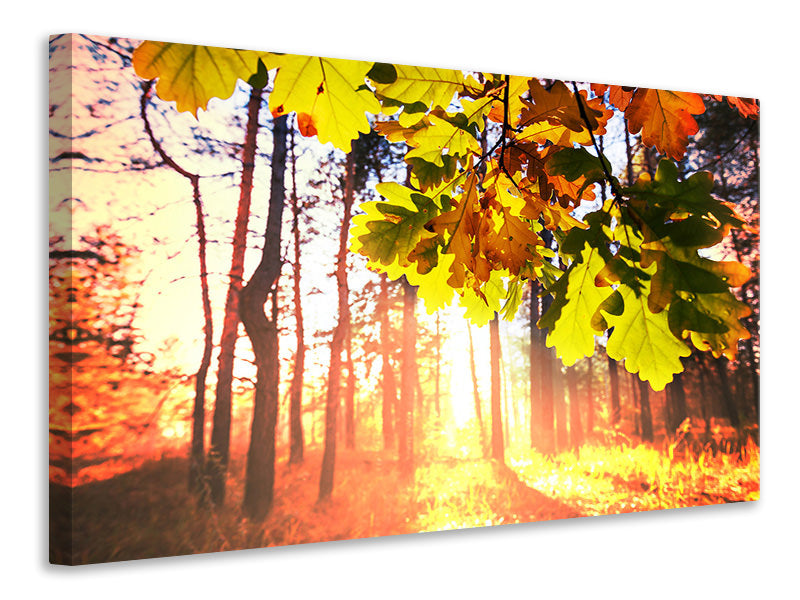 5-piece-canvas-print-autumn