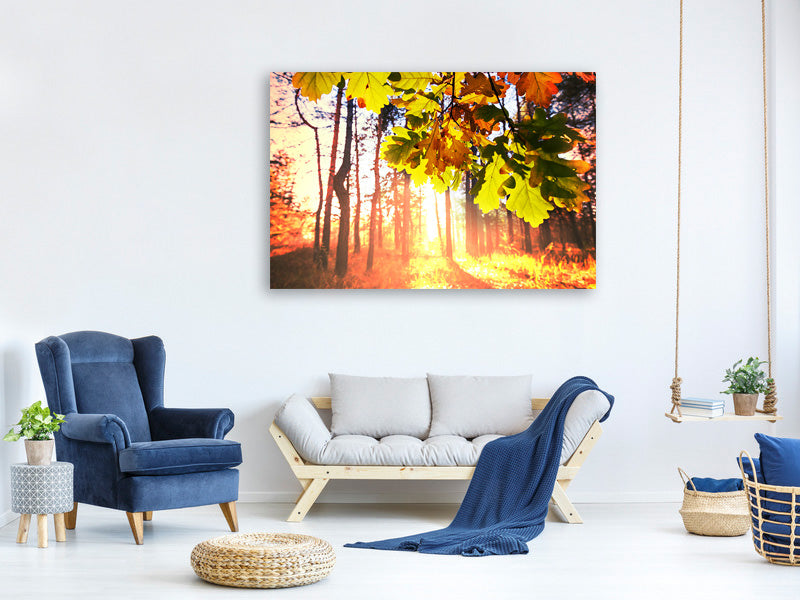 modern-4-piece-canvas-print-autumn