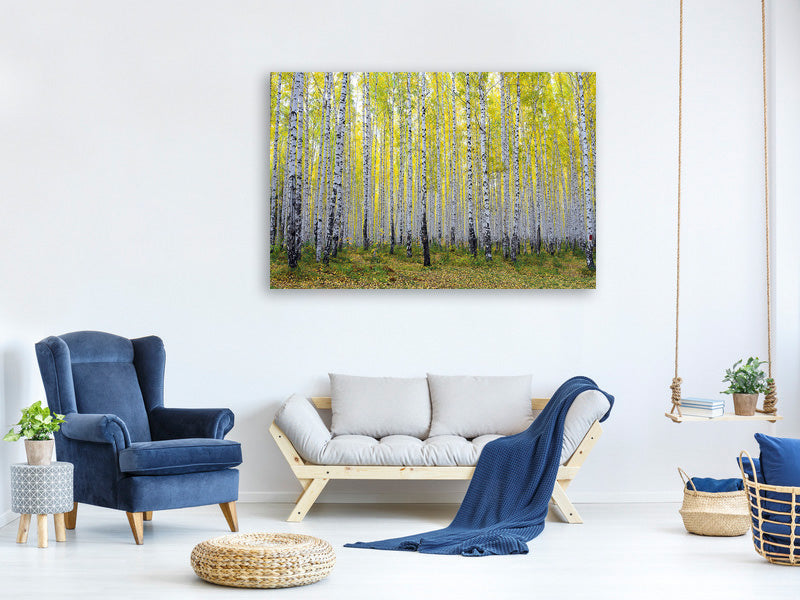 5-piece-canvas-print-autumnal-birch-forest