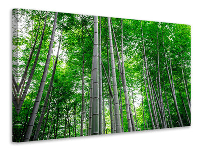 3-piece-canvas-print-bamboo-forest