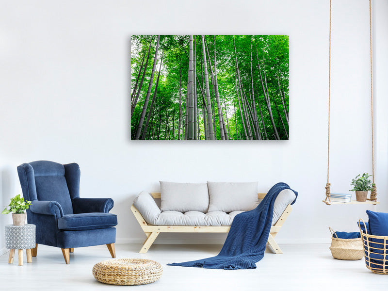 4-piece-canvas-print-bamboo-forest