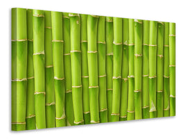 modern-3-piece-canvas-print-bamboo-wall