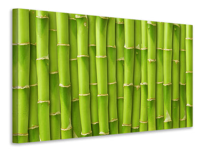 4-piece-canvas-print-bamboo-wall