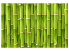 5-piece-canvas-print-bamboo-wall