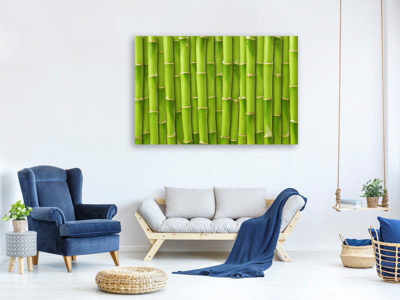 4-piece-canvas-print-bamboo-wall