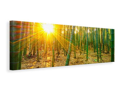 canvas-print-bamboos