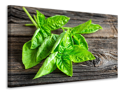 5-piece-canvas-print-basil-leaves-ii