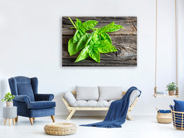 5-piece-canvas-print-basil-leaves-ii