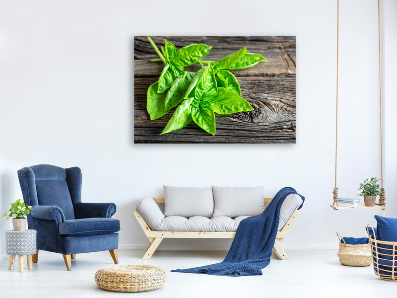 5-piece-canvas-print-basil-leaves-ii