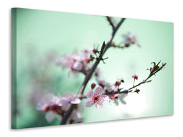 4-piece-canvas-print-beautiful-japanese-cherry-blossom