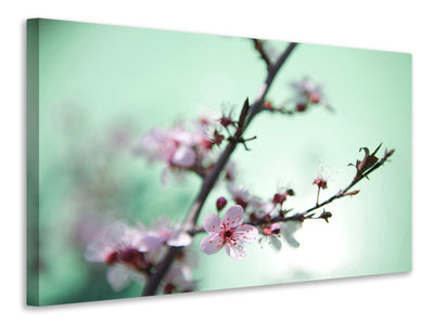 3-piece-canvas-print-beautiful-japanese-cherry-blossom