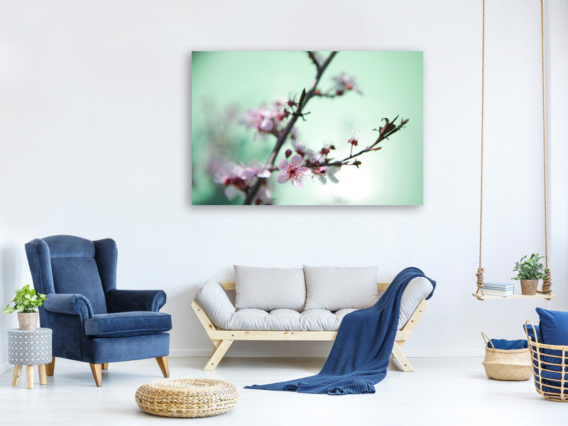 modern-4-piece-canvas-print-beautiful-japanese-cherry-blossom
