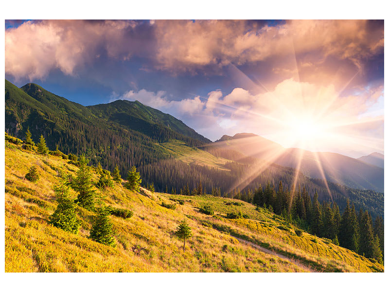 panoramic-canvas-print-beginning-of-autumn