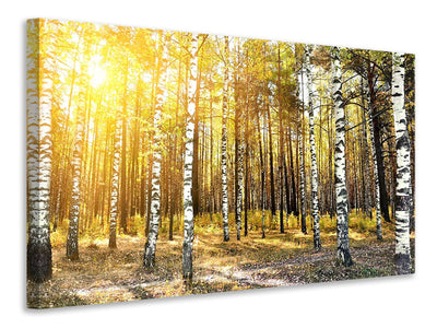 modern-3-piece-canvas-print-birch-forest