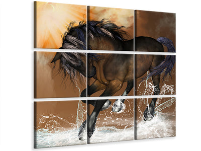 canvas-print-black-beauty