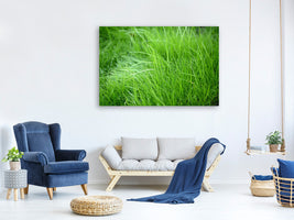 4-piece-canvas-print-blades-of-grass