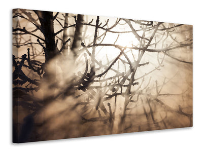 3-piece-canvas-print-branches-in-fog-light