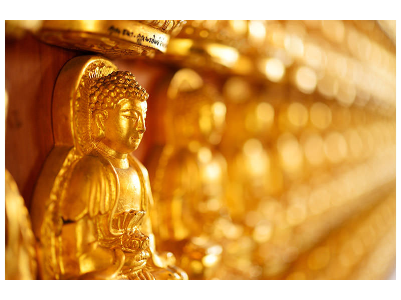 5-piece-canvas-print-buddha