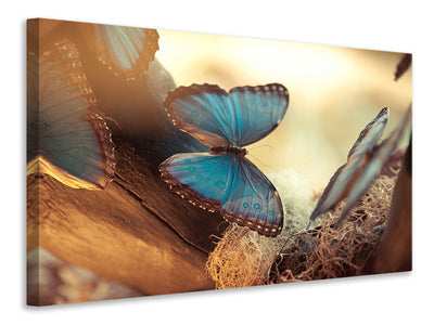 modern-3-piece-canvas-print-butterflies