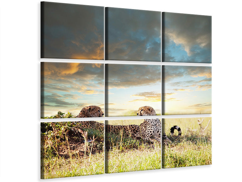 canvas-print-cheetahs