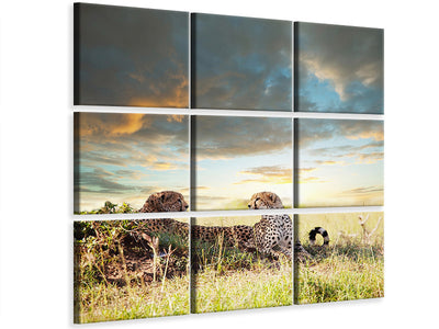 4-piece-canvas-print-cheetahs