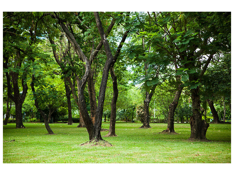 modern-4-piece-canvas-print-cherry-garden