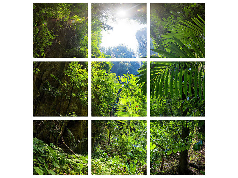 canvas-print-clearing-in-the-jungle
