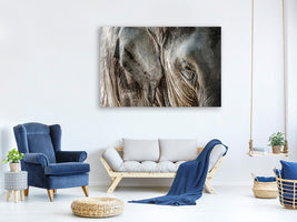 5-piece-canvas-print-close-up-elephant