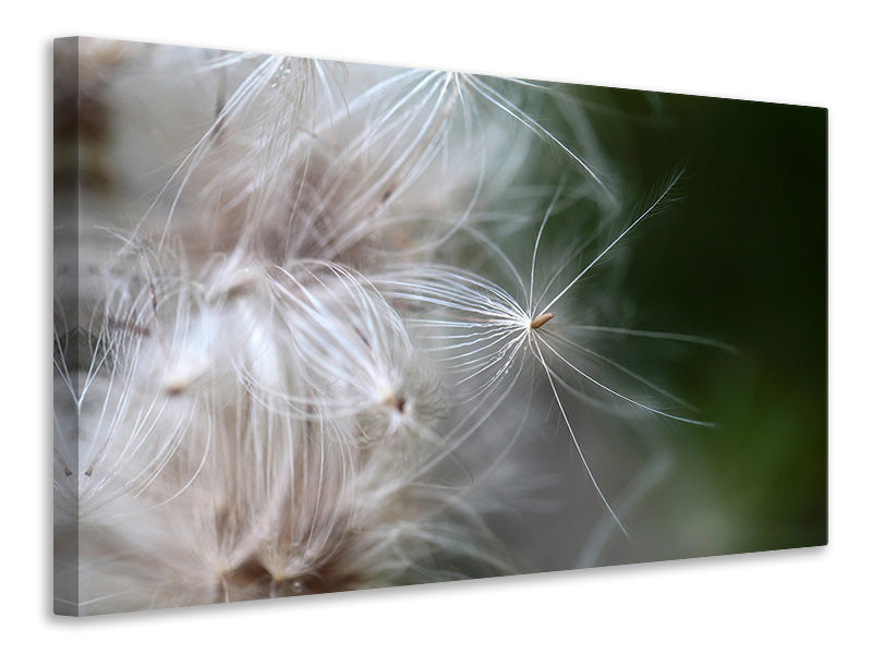 4-piece-canvas-print-close-up-flowers-fibers