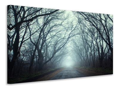 panoramic-canvas-print-cloud-forest