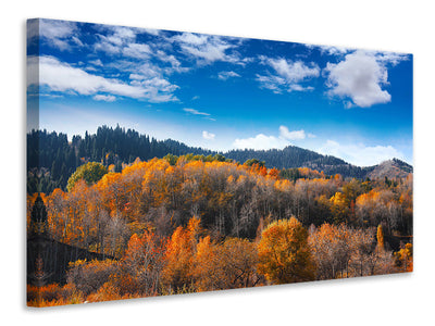 4-piece-canvas-print-clouds-gather