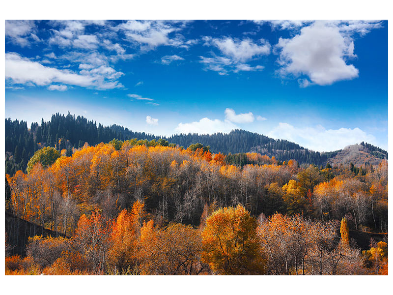 5-piece-canvas-print-clouds-gather