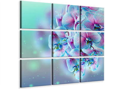 canvas-print-colored-orchids
