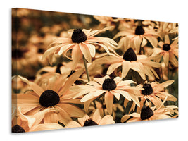 4-piece-canvas-print-daisies-in-sepia
