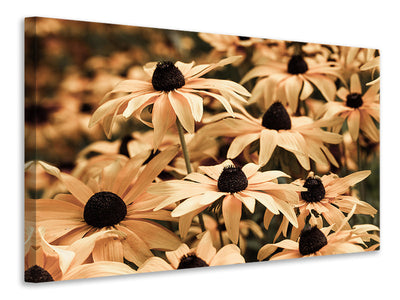 4-piece-canvas-print-daisies-in-sepia