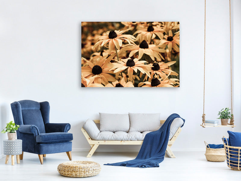 5-piece-canvas-print-daisies-in-sepia